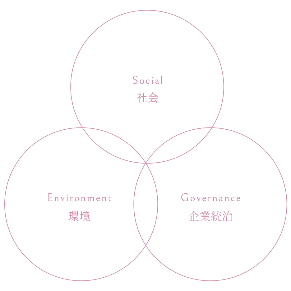 社会・環境・企業統治の円充填