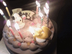 アイスケーキでおめでとう。